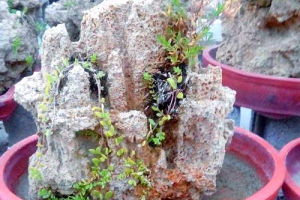 石头摆件风水讲究 石头摆件有何风水讲究