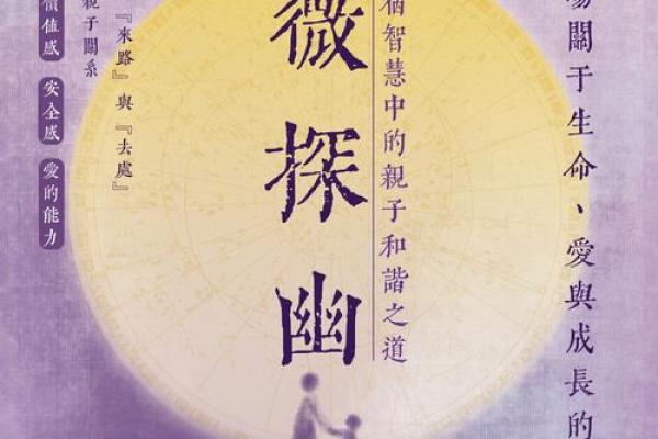 玩转地球紫薇斗数