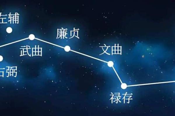 玩转地球紫薇斗数