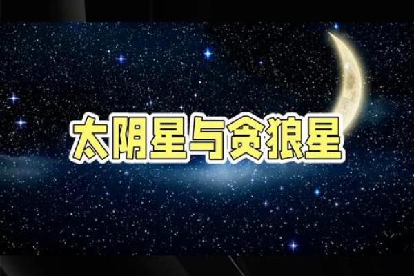 紫薇斗数豆瓣