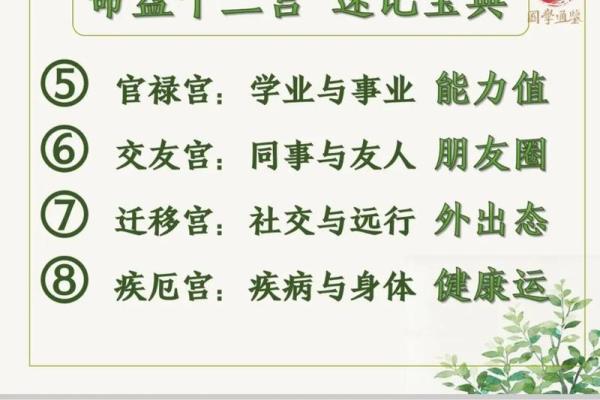 紫薇斗数豆瓣