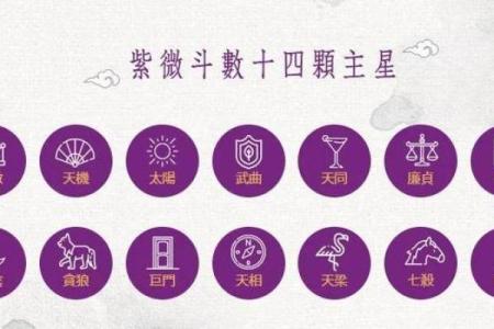 紫薇斗数飞入星