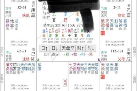 紫薇斗数好准