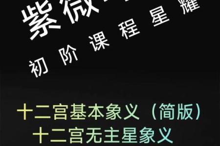 紫薇斗数太岁宫位