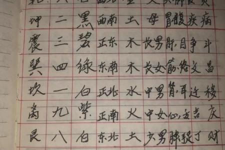 九星命理算命视频