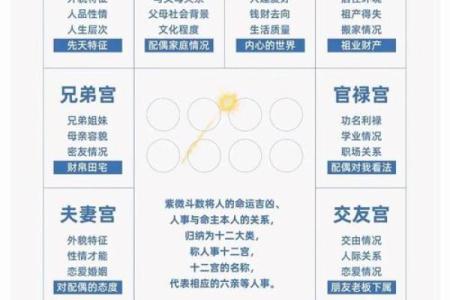 紫薇斗数先天命盘怎么看
