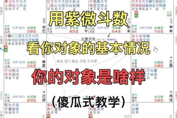 怎么在紫薇斗数里看未来老公样貌