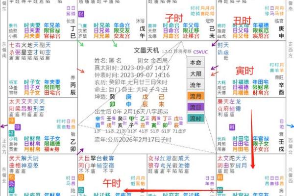 跟着AI学紫薇斗数，什么是小限
