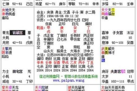 紫薇斗数命盘如何排