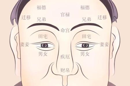 日本面相学：下巴算命