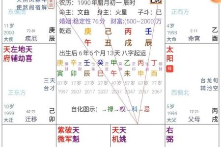 紫薇斗数盘是什么