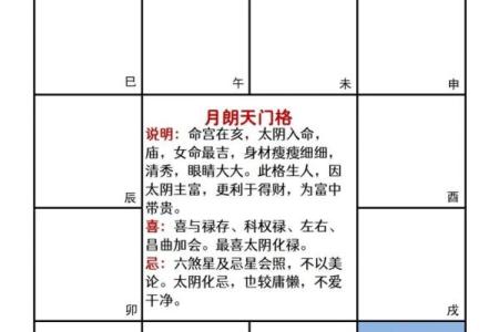 在线看紫薇斗数