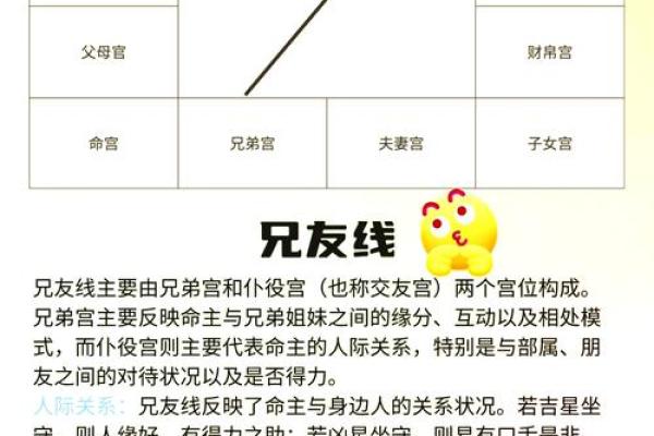 怎么学习紫薇斗数