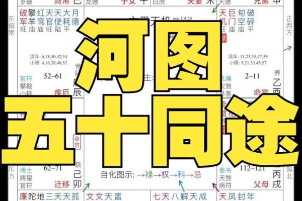 紫薇斗数对财库的影响