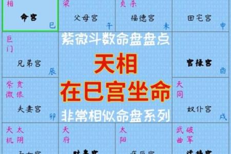 八字胎元命宫