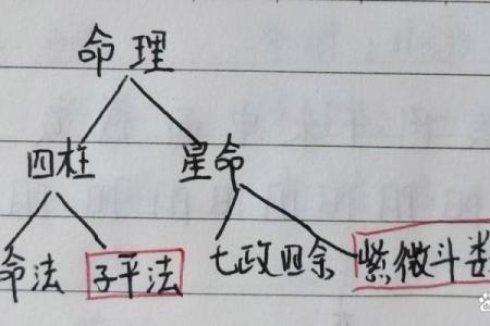 如何学算命精准预测