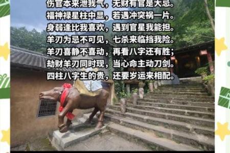 八字看灾祸归属命理详解