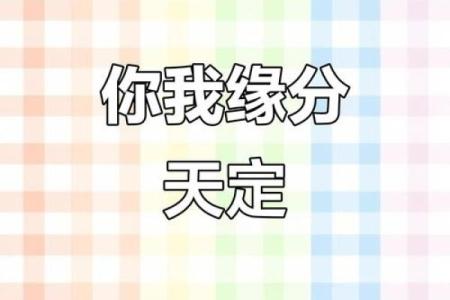 异性缘八字