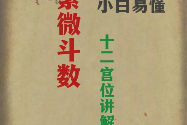 紫薇斗数科技紫微网