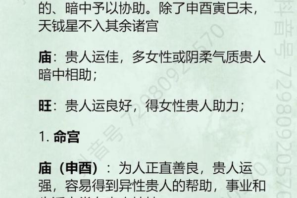 天贵星紫薇斗数
