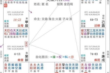 紫薇斗数科技紫微网