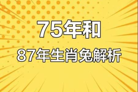87兔和92猴的八字合不合
