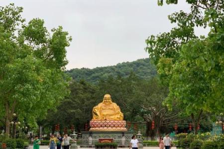 顺德大良宝林寺有算命佬吗