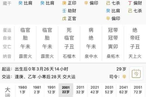 八字丁亥丙午大运