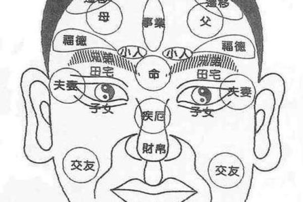 人中看相算命图解大全