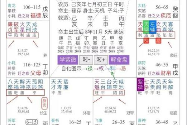 紫薇星五行喜什么