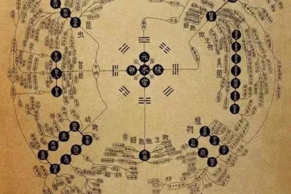 风水的方位_乌龟代表哪个方向