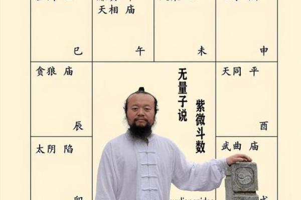 紫薇斗数文昌入命宫