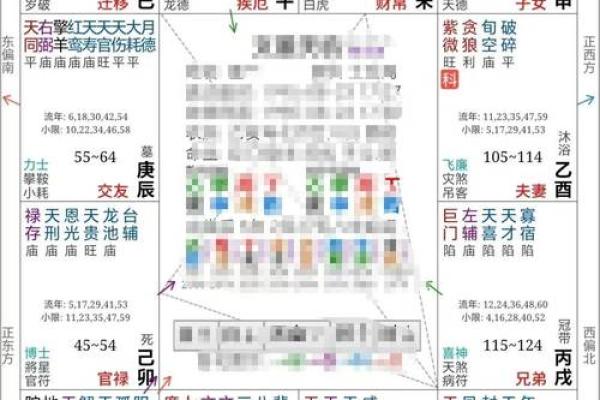 紫薇斗数全书架构