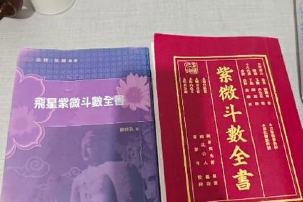 紫薇斗数案例书籍