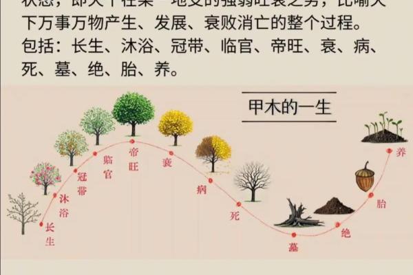 谢咏老师：郭德纲八字生辰命理详解