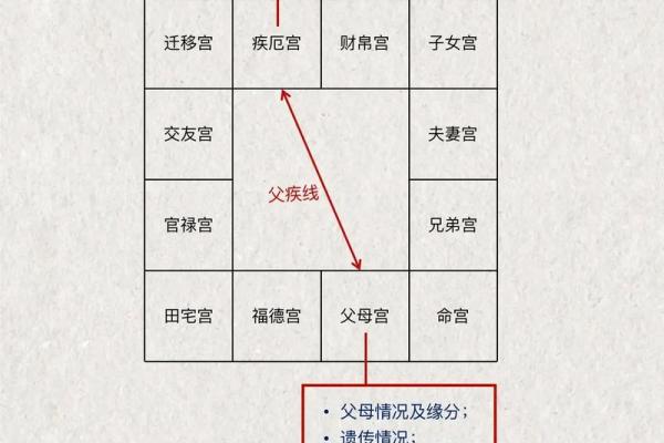 紫薇斗数基本