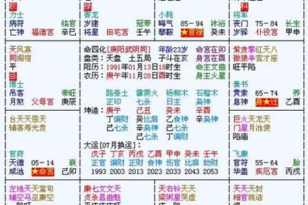 紫薇斗数排盘免费测试