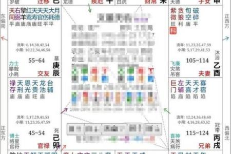 紫薇斗数全书架构