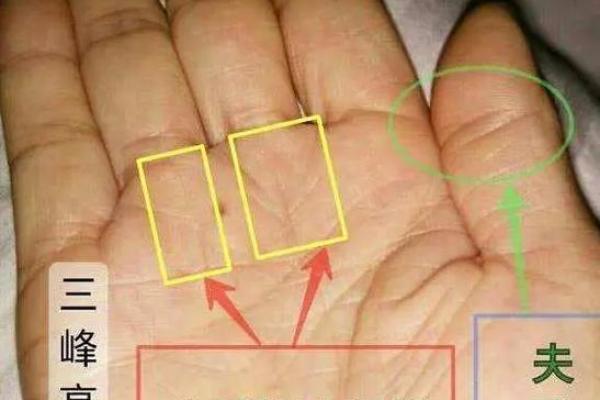 看手相为什么能从众多算命法中脱颖而出且延绵不绝？它真的不靠谱吗？