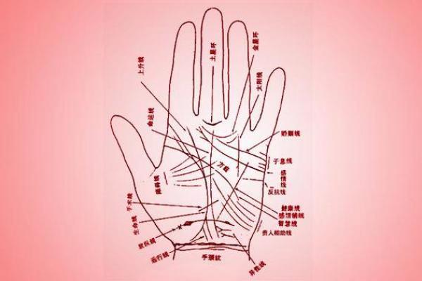 看手相为什么能从众多算命法中脱颖而出且延绵不绝？它真的不靠谱吗？