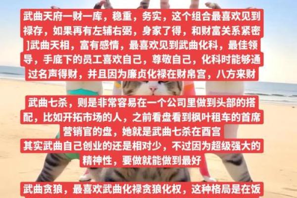 紫微斗数之兄弟宫与诸星,武曲星在兄弟宫是什么意思？