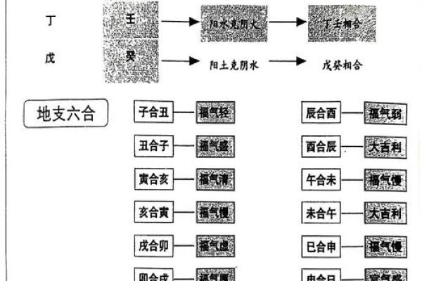 易经详解八字地支相合之六合局