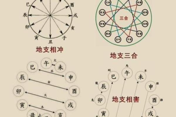 易经详解八字地支相合之六合局