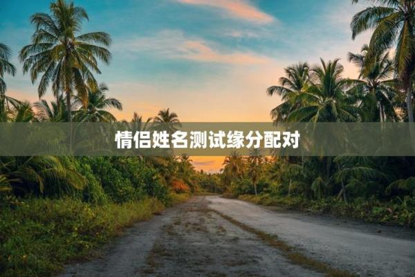 姓名配对缘分结婚 姓名配对缘分测试98%下载软件？