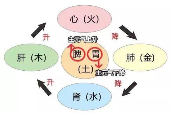 用自己的八字看健康疾病的思路