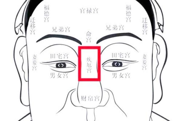 有关印堂面相算命图解