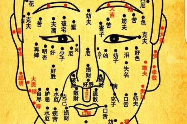 有关印堂面相算命图解