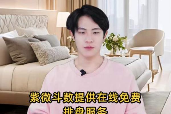 紫薇斗数在线摆盘