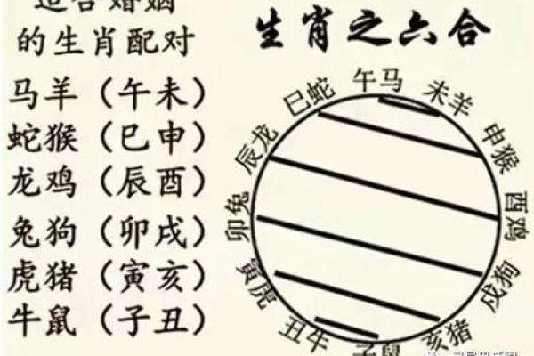 八字算男女