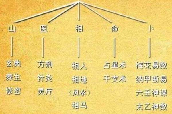 面相算命入门：五行与相貌